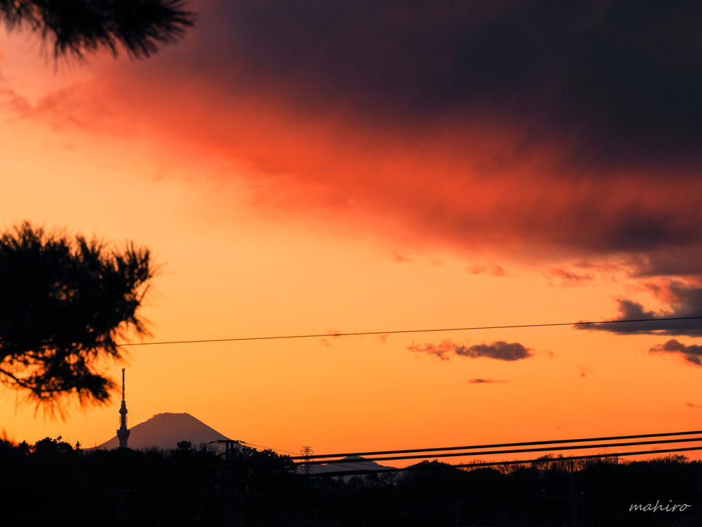 ベランダの憂鬱。#2