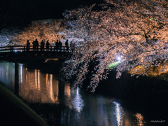 夜桜見物。#6