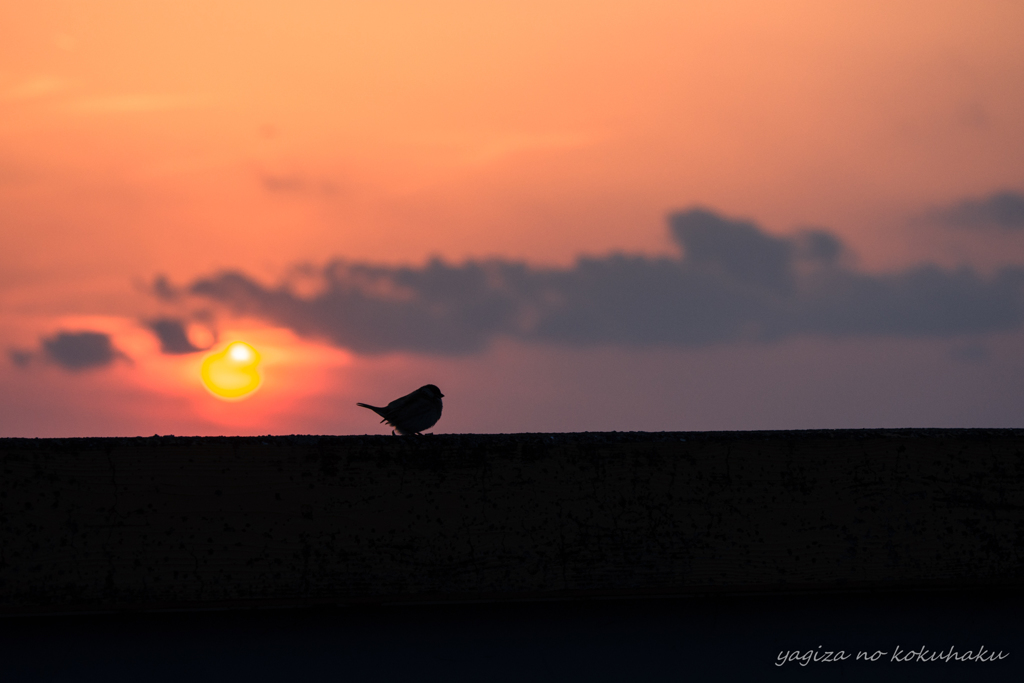 風景撮りの告白。#35