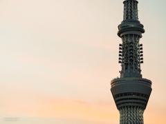 SUMIDA STREET JAZZ FES 2018 #17