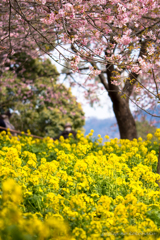 風景撮りの告白。#28