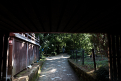 紫陽花寺。#1
