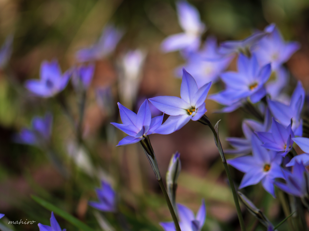 俺たちの旅。#6