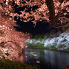 夜桜見物。#4