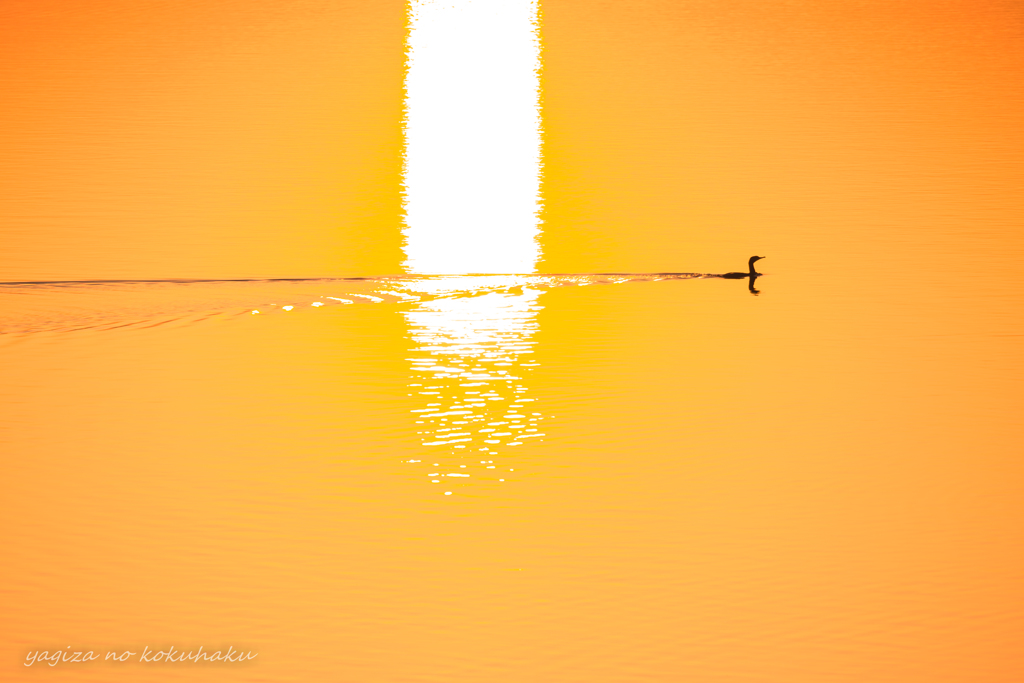 風景撮りの告白。#24