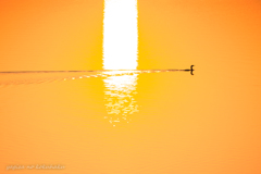 風景撮りの告白。#24