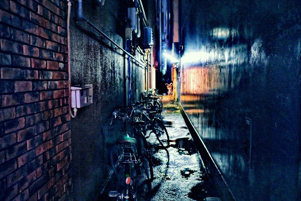 雨に濡れて