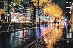 雨の御堂筋　