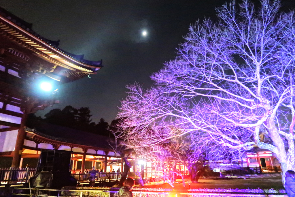 東大寺中門