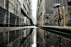 谷間の光景