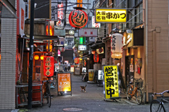 パトロール中につき