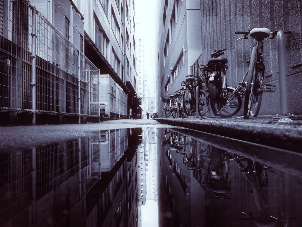 空が見たくて