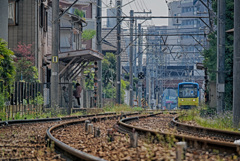 路面電車の走る街