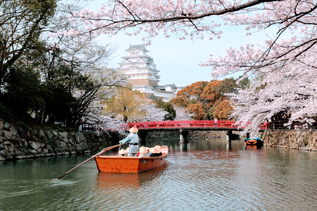 D74E4296-27F5-4CA7-9027-5AE0E44B5F0F