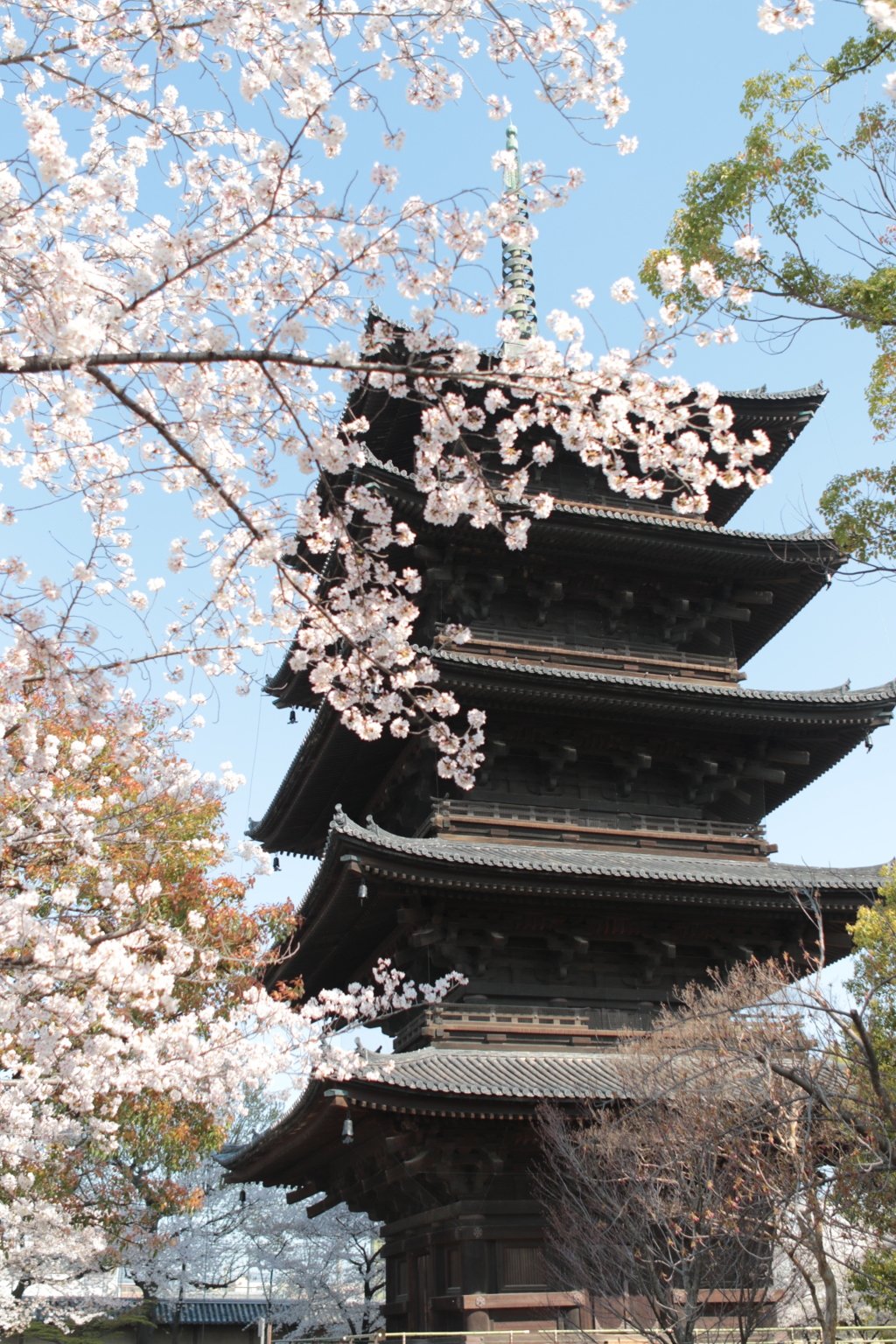 57E8CFC6-E974-48F5-9B3C-E3E18A88471C