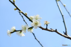 もうすぐですね