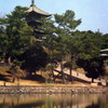 興福寺と猿沢池