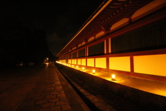 東大寺の夜