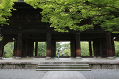 緑の季節に参拝