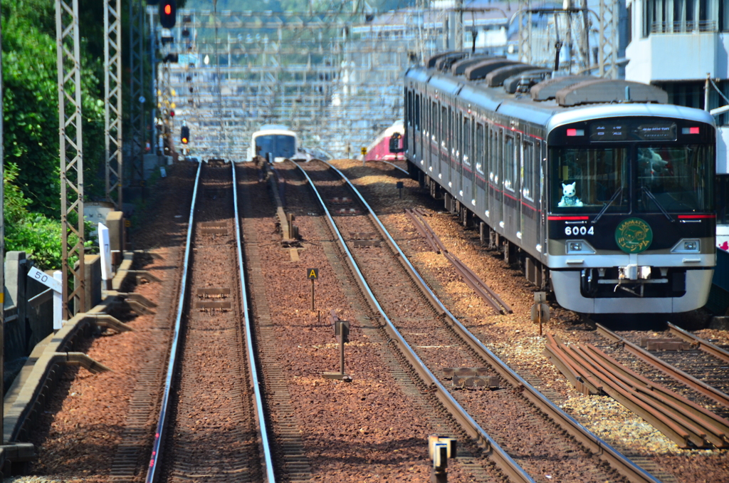 50‰（パーミル）を車庫代わりにする凄さ