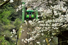 岐阜　樽見鉄道