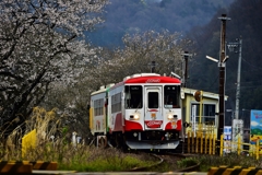 岐阜　樽見鉄道