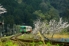 岐阜　樽見鉄道