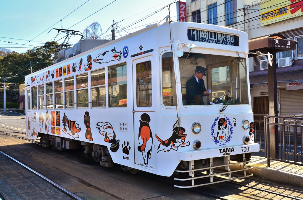 岡山の　タマさん