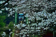 岐阜　樽見鉄道