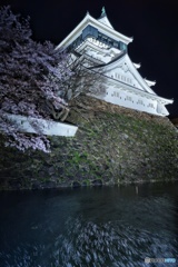 小倉城の春