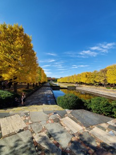 昭和記念公園