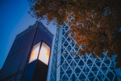 風景写真