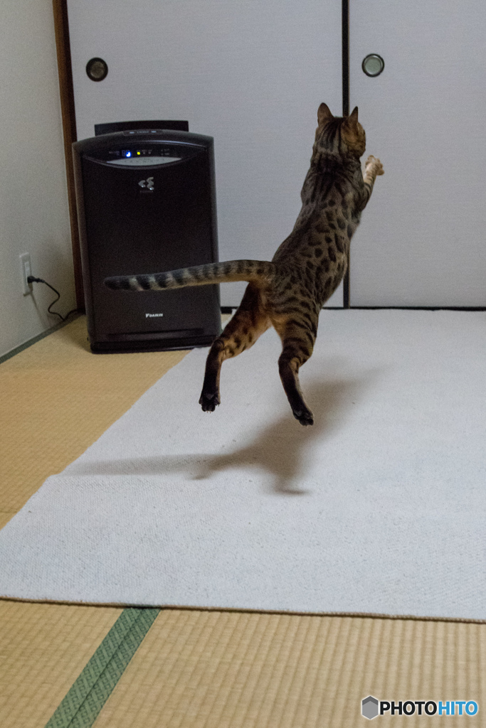 I Can Fly