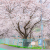 通学路