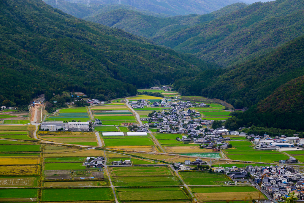 亀岡霧のテラス