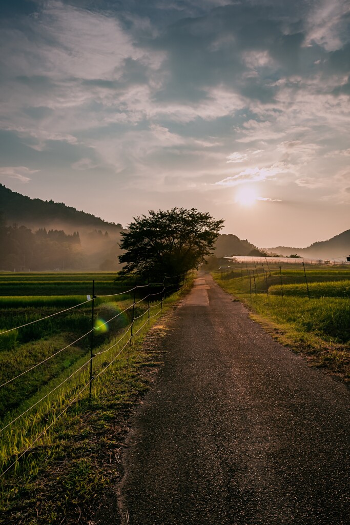 田舎の夕日