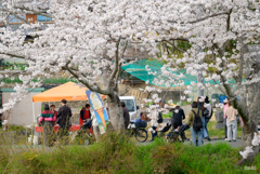 なんでも特別感