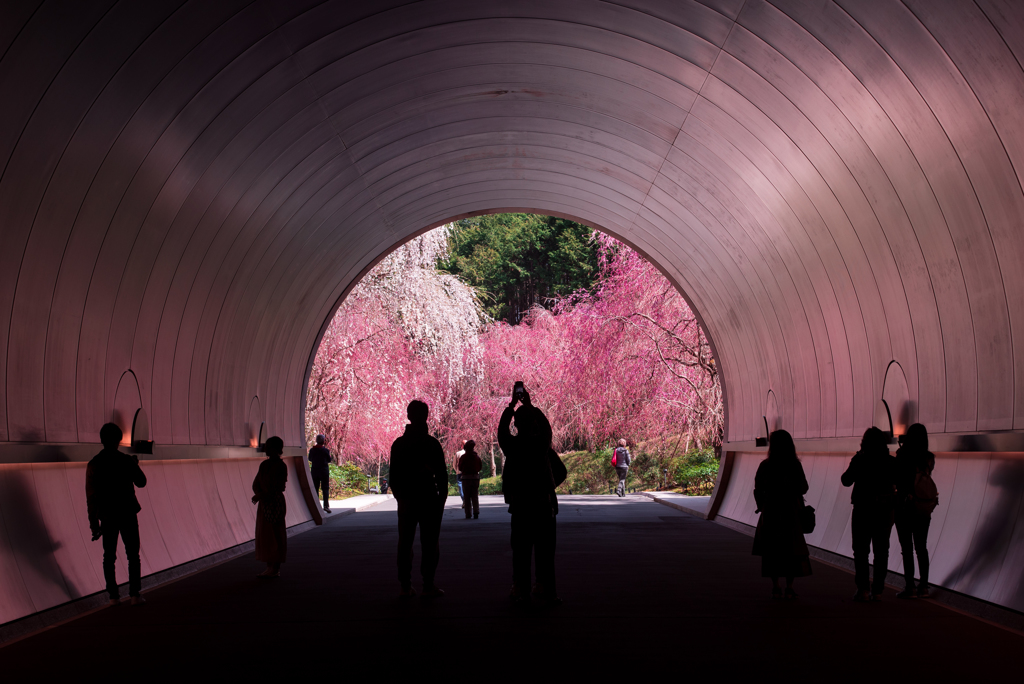 MIHO MUSEUM