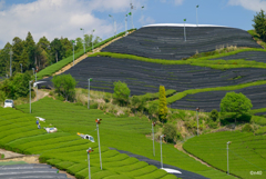 日本の風景