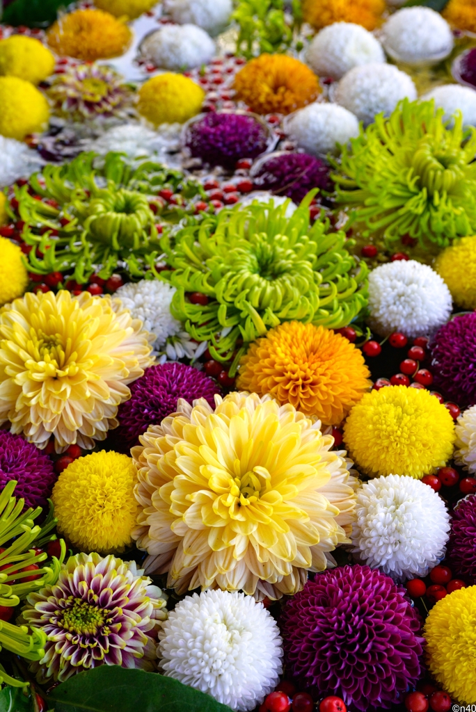 花手水