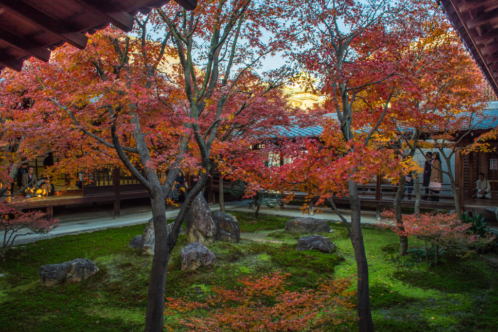 日本の庭園