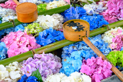 花手水