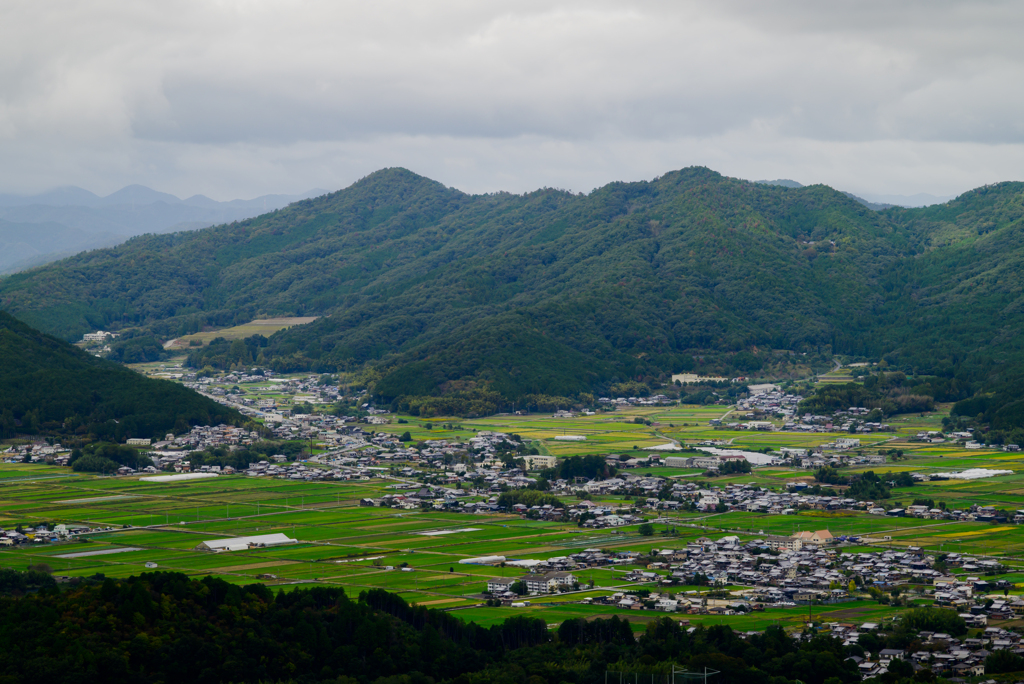 亀岡霧テラス（曇り）