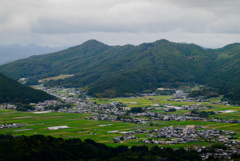 亀岡霧テラス（曇り）
