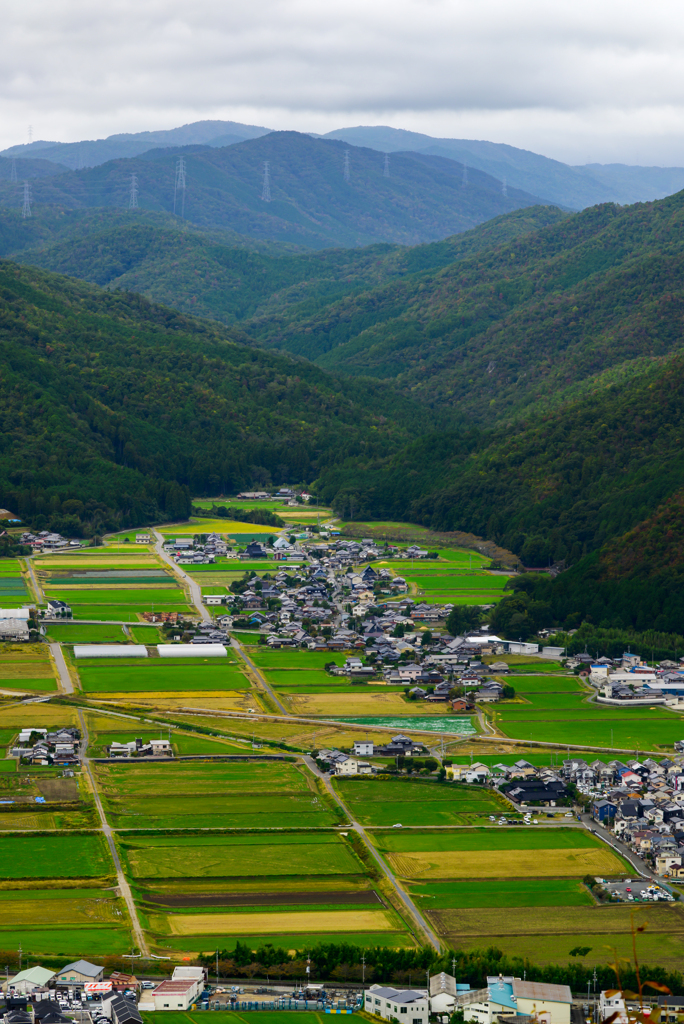 亀岡霧テラス（曇り）