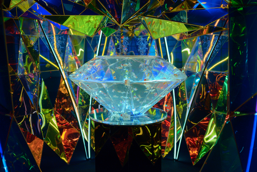 金魚ミュージアム