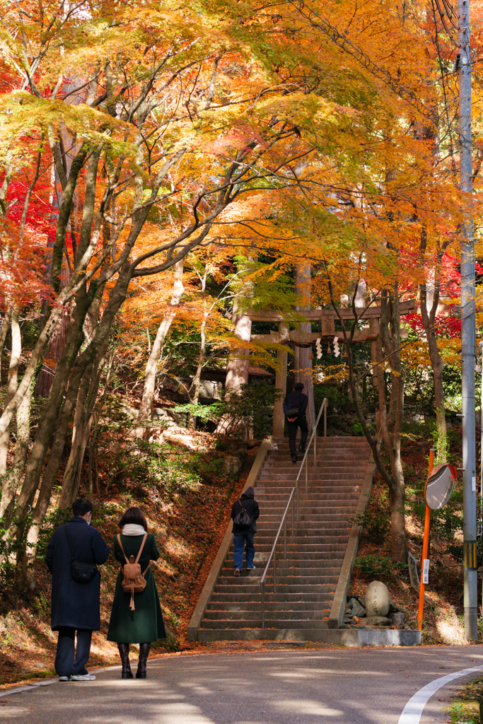 紅葉まっただ中