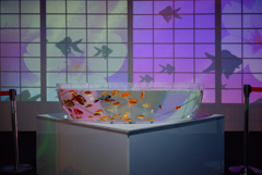 金魚ミュージアム