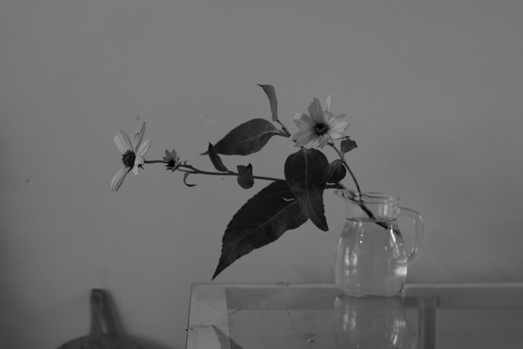 花のモノクロはアート