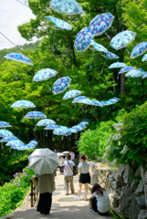 アンブレラスカイ
